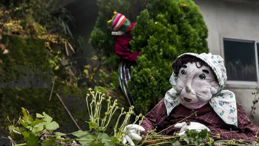 Bu köye gelenler gözlerine inanamıyor: Tüyler ürperten manzara! Hepsi yetişkin insan boyutlarında 19